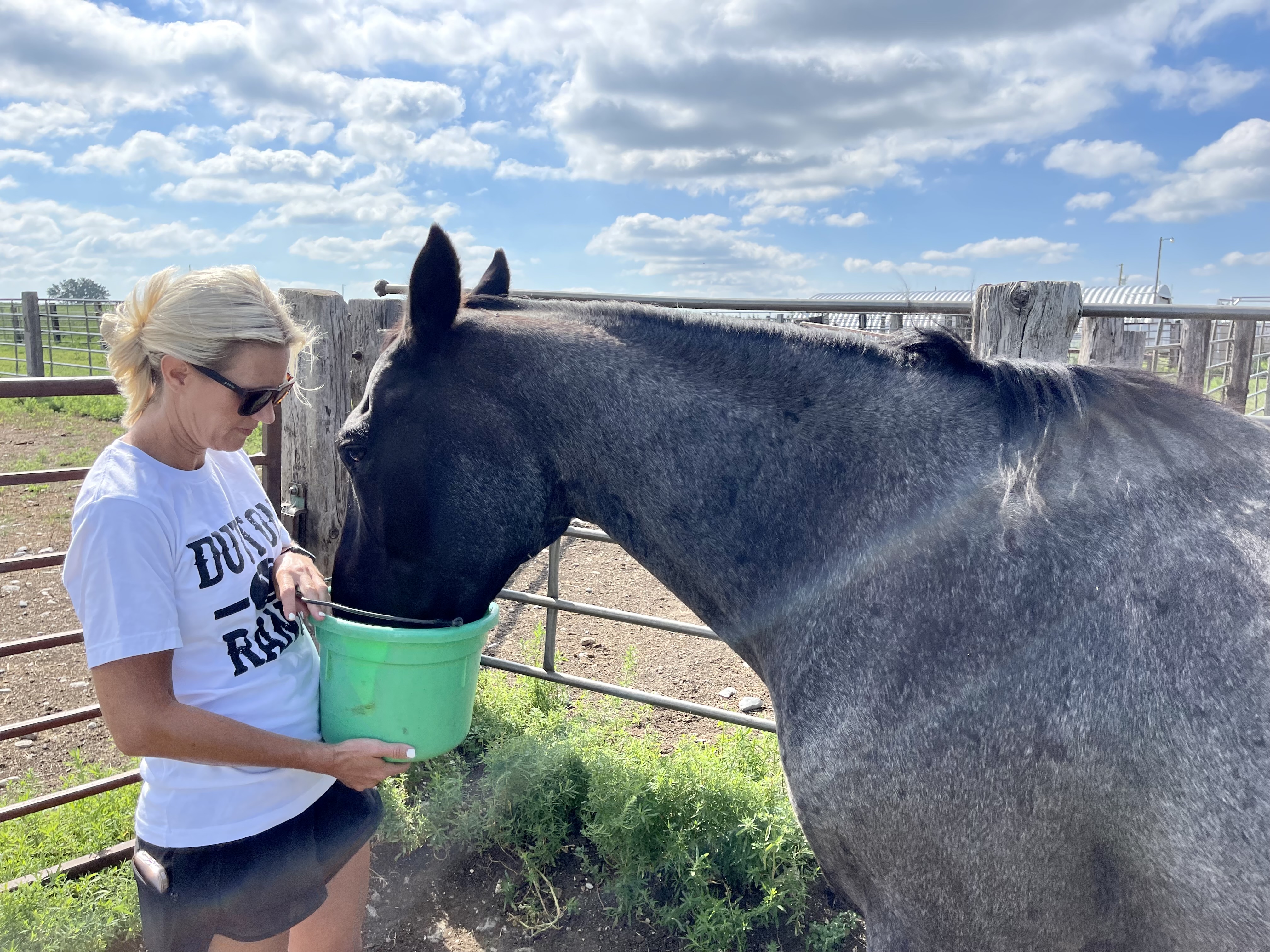From the ranch